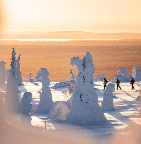 Liukulumikenkäilyä Riisitunturilla, Harri Tarvainen