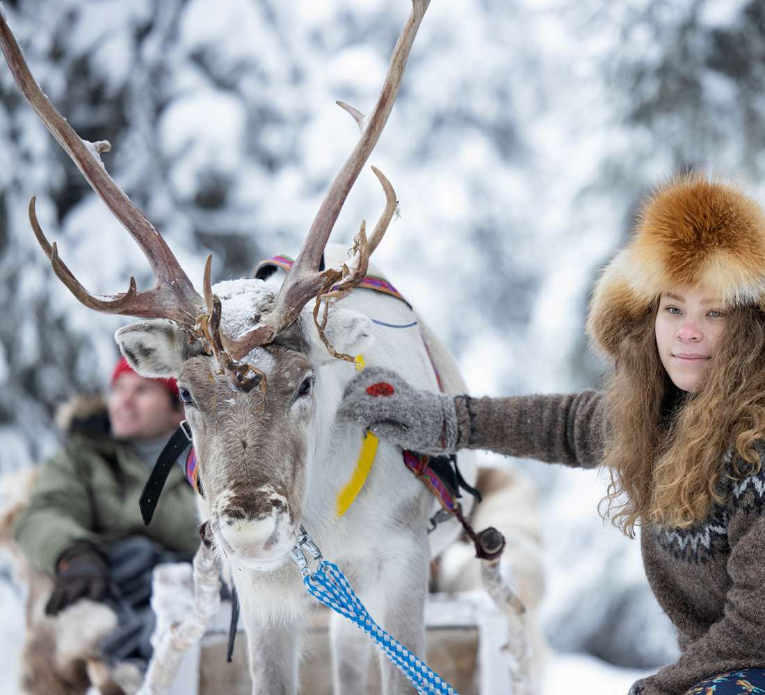 Tutustu poroihin Ruka-Kuusamossa