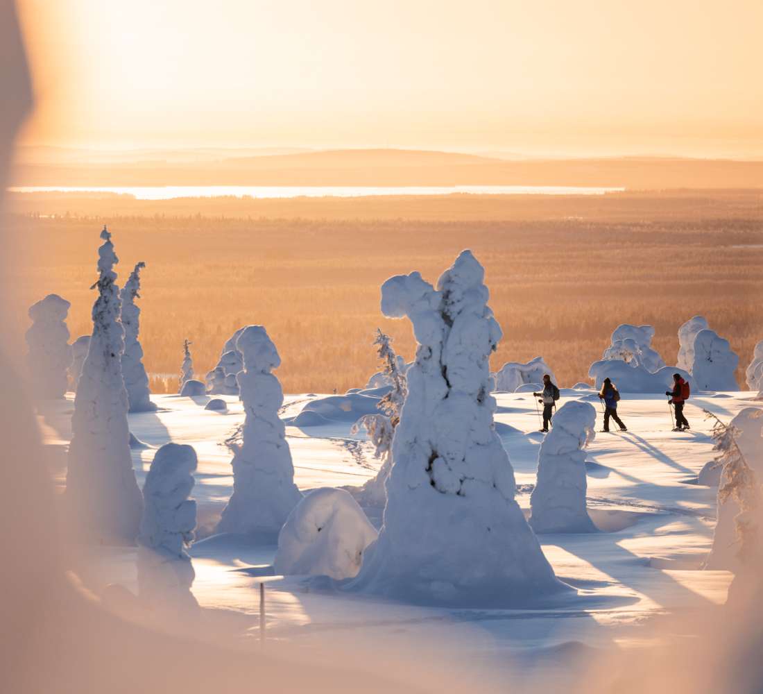 Liukulumikenkäilyä Riisitunturilla, Harri Tarvainen