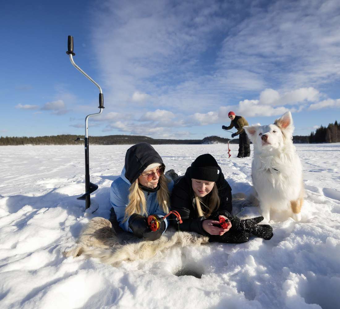 Pilkillä koiran kanssa. Kuva Harri Tarvainen/Kotakollective